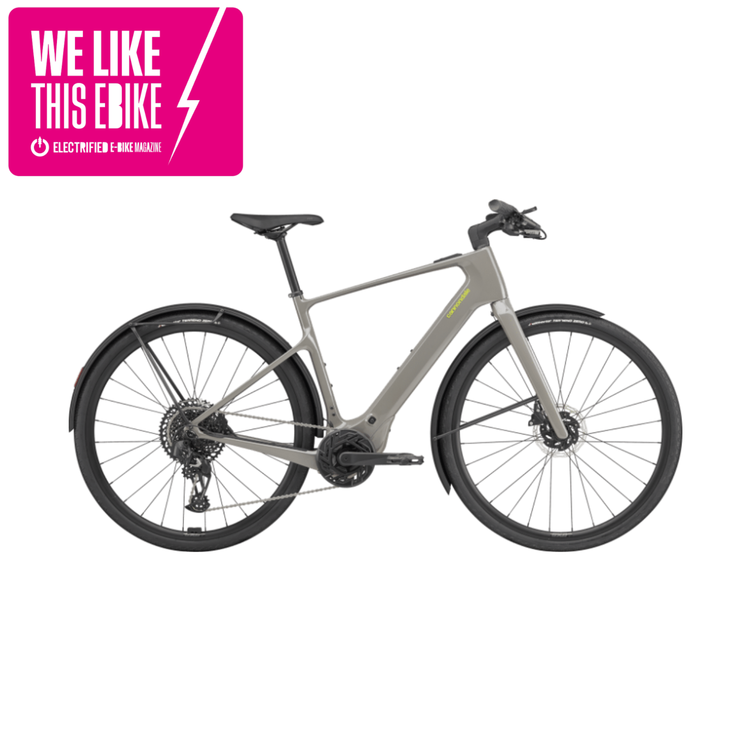 Cannondale Tesoro Neo Carbon 1